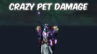 CRAZY Pet Damage - 10.1 Unholy Death Knight PvP - 10.1 WoW Dragonflight PvP