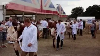 Danco at the Edenbridge & Oxted Show