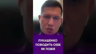 ТВ7+. ЛУКАШЕНКО ПОВОДИТЬ СЕБЕ ЯК ПОВІЯ - ДАНИЛО ПАВЛИЧЕНКО