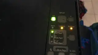 help me please, CANON MP 287  ERROR P 06