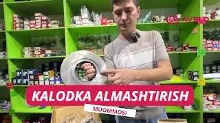 KALODKANI ZO'RI AVELODA ☎️ 99 361 00 77