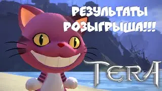 Результаты розыгрыша игровых кодов в TERA Online. #24