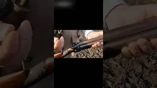 Muzzle loading pheasant hunt 