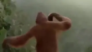 А в субботу песни льются до зари🐵🐒🐾