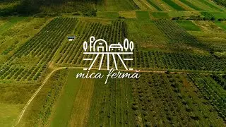 Mica ferma - 4 septembrie 2021 | Badacin/Salaj