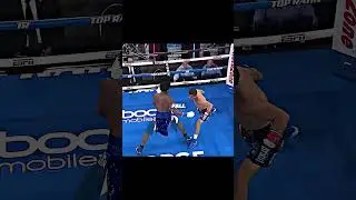 The Future Of Boxing