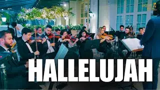 Hallelujah (Instrumental) Casamento no Palácio Tangará