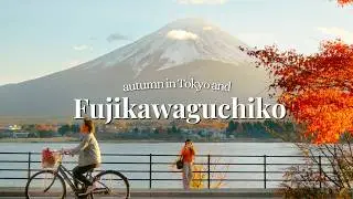 Autumn in Japan 🍁 Cozy Tokyo to Mount Fuji | Fujikawaguchiko Fall Vlog (3 Days)