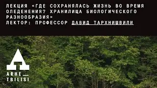 Давид Тархнишвили: