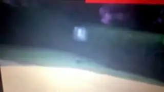 Scary cat