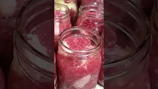 Don't Wait! Start Home Canning Meat NOW! 