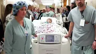 Organ Donor Save Lives. Audio article. #Short