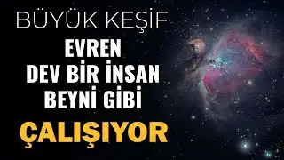 Bilim İnsanları Evrenin Dev Bir İnsan Beyni Gibi Olduğunu Ortaya Koydu