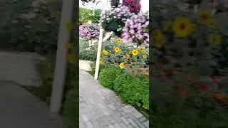 Miracle garden part 14