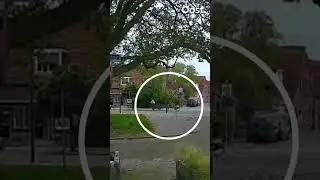 Almelose Ivonne wordt geschept door een auto: politie zoekt automobilist die doorreed | RTV Oost