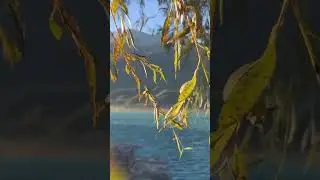 Brienz magic 