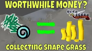 COLLECTING Snape Grass For 1 Hour | OSRS Money Making