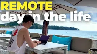 Day in the Life of a REMOTE DATA ANALYST