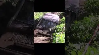 Нива Росомаха в БОЛОТЕ #shorts