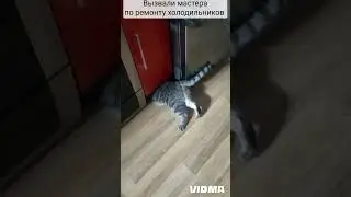 Мэри и холодильник
