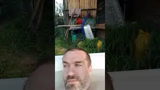 Пятое погружение.