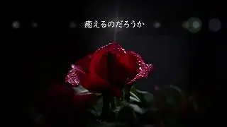 사랑아 愛よ  더 원 The One （日本語訳）JPN Sub