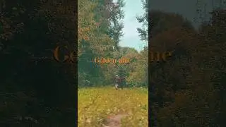 Golden time #shortvideo #friends