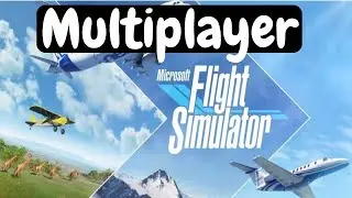 Aprenda Configurar o Microsoft Flight Simulator no Multiplayer
