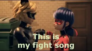 This is my fight song [AMV] - MIRACULOUS WORLD