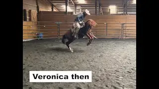 SAFE Horse Transformations