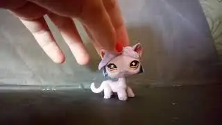 Моя коллекция lps из старой коллекции