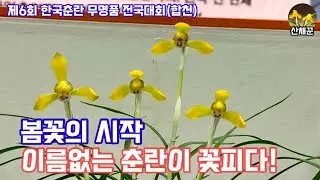 봄을 알리는 꽃..보춘화(춘란)..이름없는 꽃들이 피워낸 향기