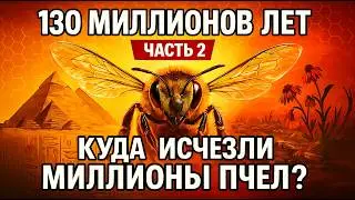 ИСТОРИЯ ПЧЕЛ — ЧАСТЬ 2 — Почему исчезают пчелы? Тихий апокалипсис