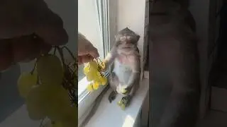 Кайф 🥰