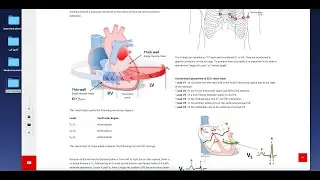 Introduction to ECG - part 1