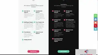 BDswiss Review 2020 by Binary Today