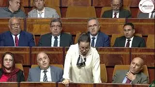 محاولة للفهم!!.. 