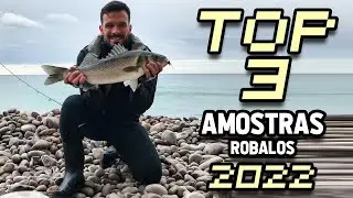 TOP 3 - Amostras para Robalos ao spinning  🌊