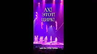 АХ Этот Цирк! Акробаты на подкидных досках!