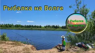 Рыбалка на реке Волга 13 июня 2020г в Республике Татарстан. (Fishing on the Volga River)