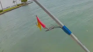 Simple Way To Catch A Lot Of Saltwater Fish (Shore Fishing Florida)