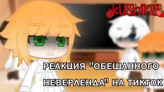 🎭 РЕАКЦИЯ 