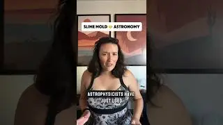 Part 1: astronomy slime mold! #astrophysics #shorts