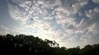 Sleepy Sunrise
