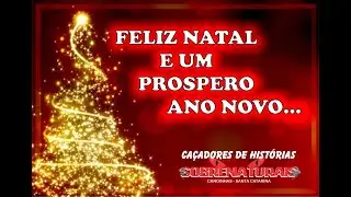 MENSAGEM - FELIZ NATAL E UM ABENÇOADO ANO QUE VAI INICIAR