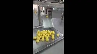 DIY เครื่องปั้นใส้ขนม