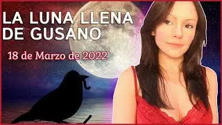 LO QUE DEBES SABER SOBRE LA LUNA LLENA DE GUSANO EN VIRGO🌕🐛18 de MARZO 2022🐛Simbolismo♍