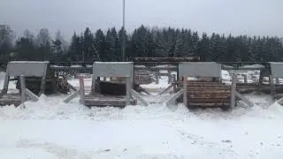 Сортировка брёвен с торцовкой