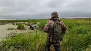 На утку с подхода.