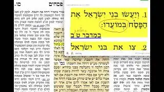 דף יומי מסכת פסחים דף סו Daf yomi Pesachim daf 66 שמואל נבון